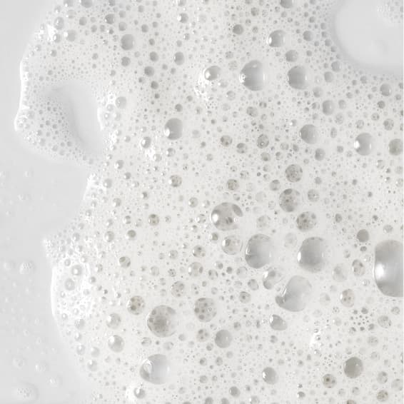 BF Seasonal Reset Collection No. 1